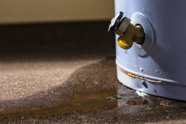 Best Carpet water damage restoration  in Whitfield, FL