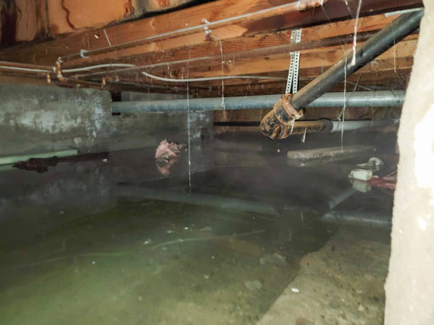 Best 24/7 water damage repair  in Whitfield, FL