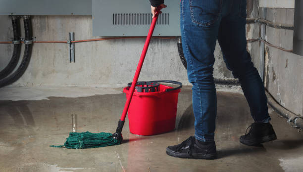 Best Professional water damage repair  in Whitfield, FL