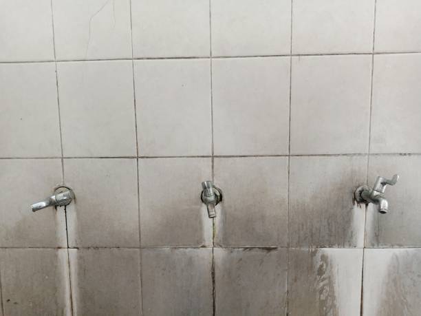 Best Local water damage restoration  in Whitfield, FL