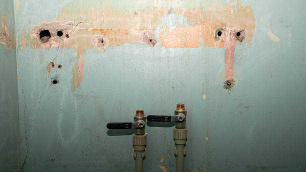 Best 24-hour water damage restoration  in Whitfield, FL