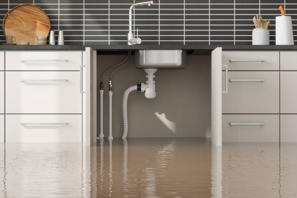 Best Residential water damage restoration  in Whitfield, FL