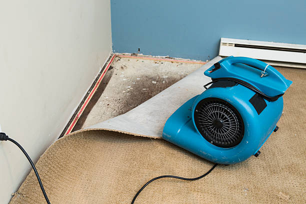 Best Water damage restoration specialists  in Whitfield, FL