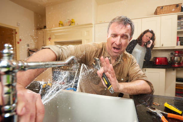 Best Carpet water damage restoration  in Whitfield, FL